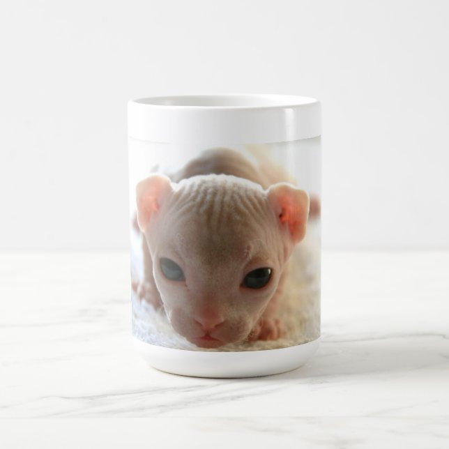 Newborn sphinx kitten coffee mug (Center)