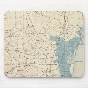 Newburyport, Massachusetts Mouse Mat