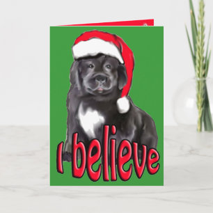 Newf puppy Christmas Holiday Card