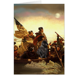 Newfie 1 - Washington Crossing.....