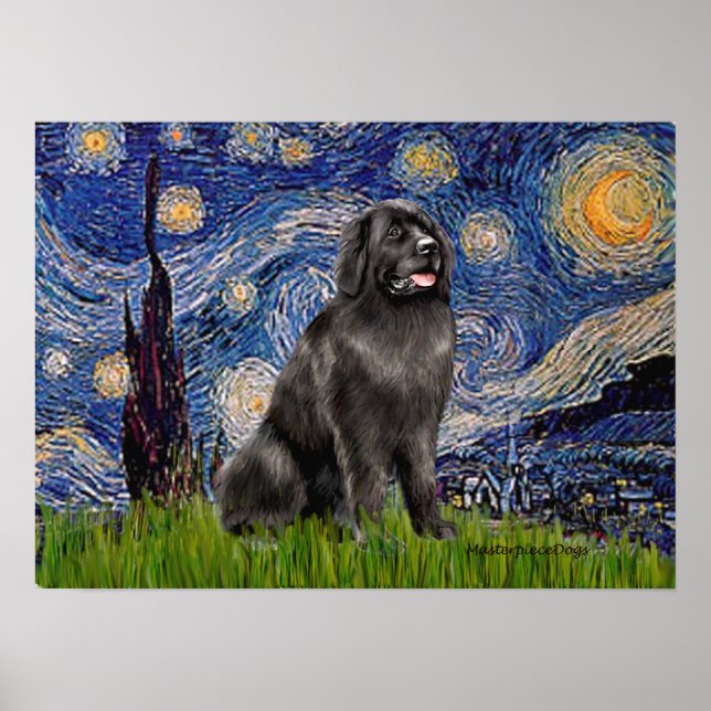 Newfie 2 - Starry Night Poster (Front)