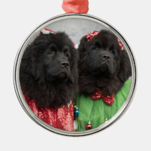 newfie babies under the tree metal tree decoration