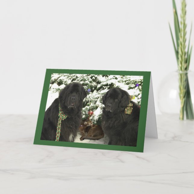 Newfie Christmas Holiday Card (Front)