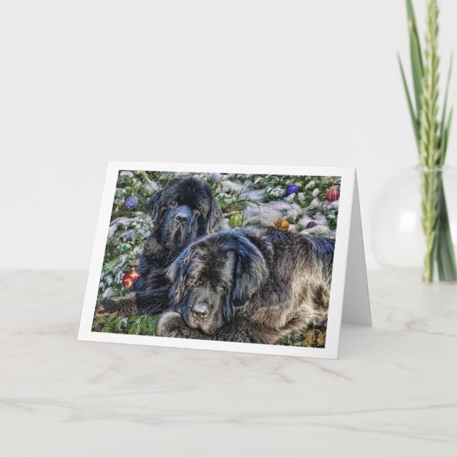 Newfie Holiday Wishes (Front)