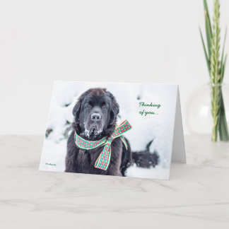 Newfie Holiday Wishes for You Card