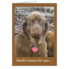 Newfie kisses for you...