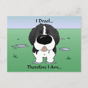 Newfie (Landseer) - I Drool Postcard