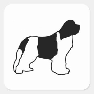 newfie silo white black square sticker