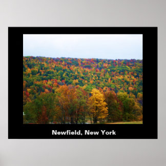 NEWFIELD NEW YORK poster