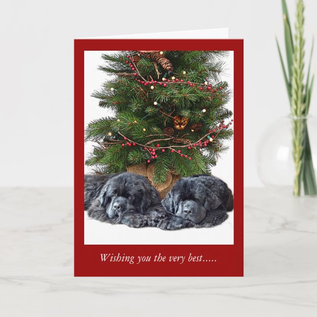 Newfies & the Christmas Cat Holiday Card (Front)
