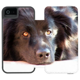 newfoundland-3 incipio watson™ iPhone 5 wallet case