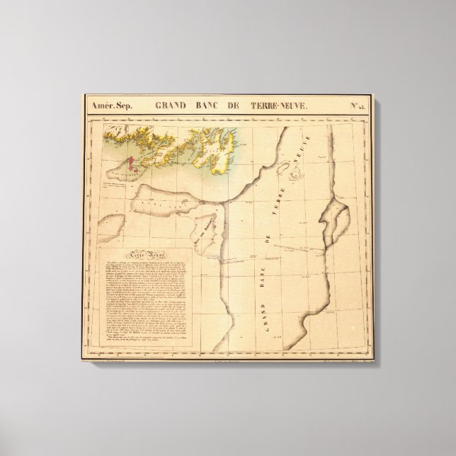 Newfoundland 45 canvas print (Front)