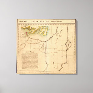 Newfoundland 45 canvas print