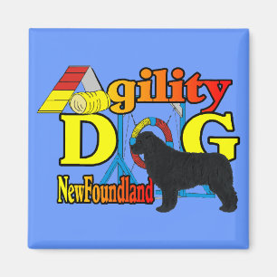 Newfoundland_Agility Gifts Magnet