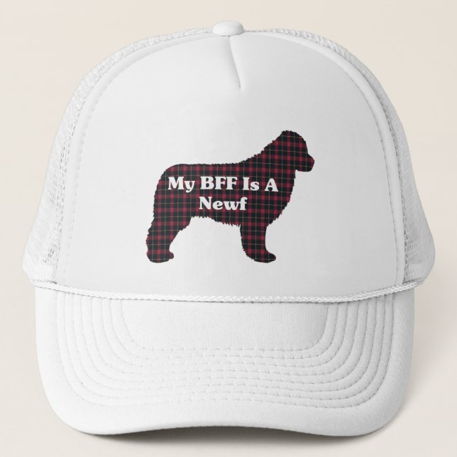 Newfoundland BFF Hat (Front)