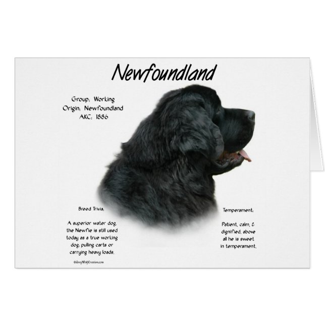 Newfoundland (Black) History Design (Front Horizontal)