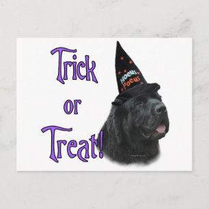 Newfoundland (black) Trick Postcard