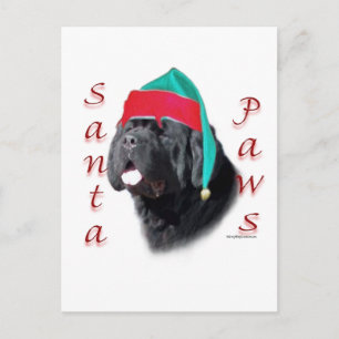 Newfoundland (blk) Santa Paws Holiday Postcard