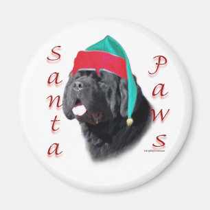 Newfoundland (blk) Santa Paws Magnet