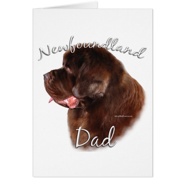 Newfoundland (brown) Dad 2 (Front)
