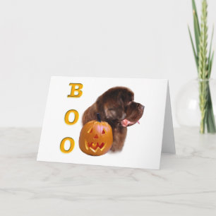 Newfoundland Brown Halloween BOO Card