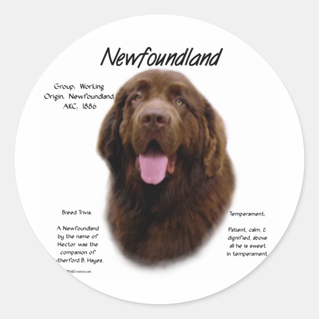 Newfoundland (Brown) History Design Classic Round Sticker (Front)