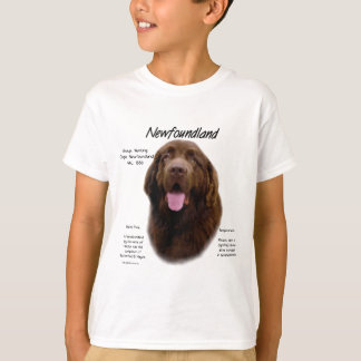 Newfoundland (Brown) History Design T-Shirt