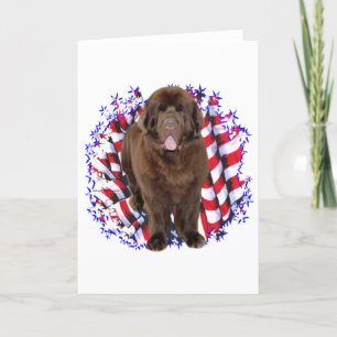 Newfoundland (brown) Patriot Card