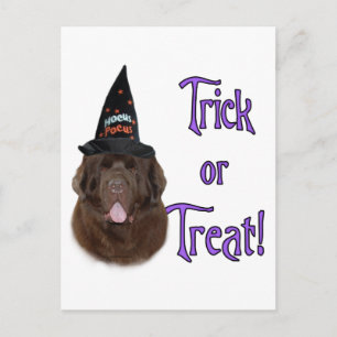 Newfoundland (brown) Trick Postcard