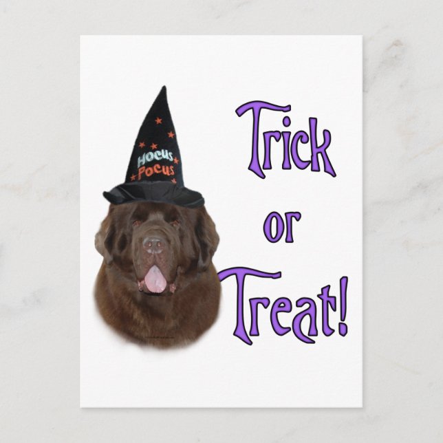 Newfoundland (brown) Trick Postcard (Front)