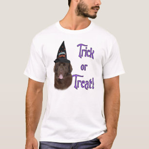 Newfoundland (brown) Trick T-Shirt