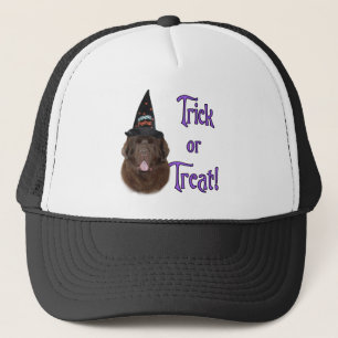 Newfoundland (brown) Trick Trucker Hat