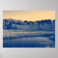 Newfoundland, Canada, Marshlands Trees and Water