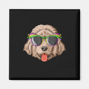Newfoundland carnival mask   newfoundland gift magnet