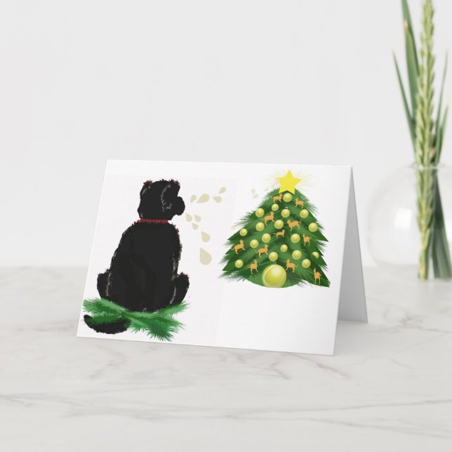 Newfoundland Christmas Card (Front)