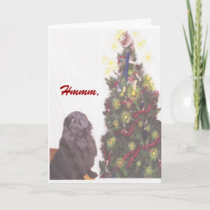 Newfoundland Christmas Card