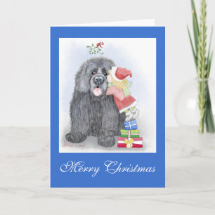 Newfoundland Christmas Greeting Card