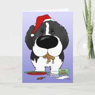 Newfoundland Christmas Holiday Card