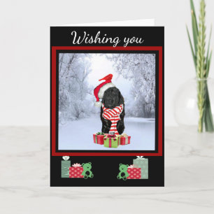 Newfoundland Christmas Holiday Card