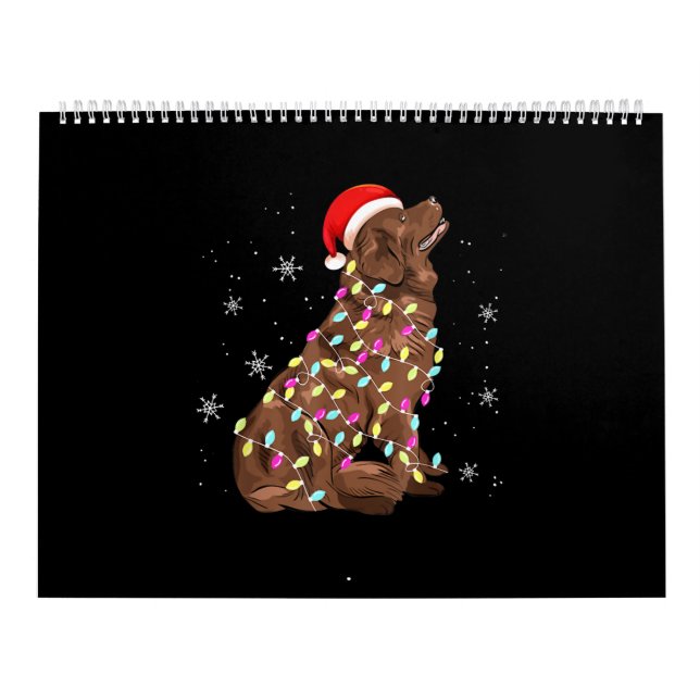 Newfoundland christmas light gift |funny dog lover calendar (Cover)