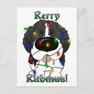 Newfoundland Christmas Lights Holiday Postcard