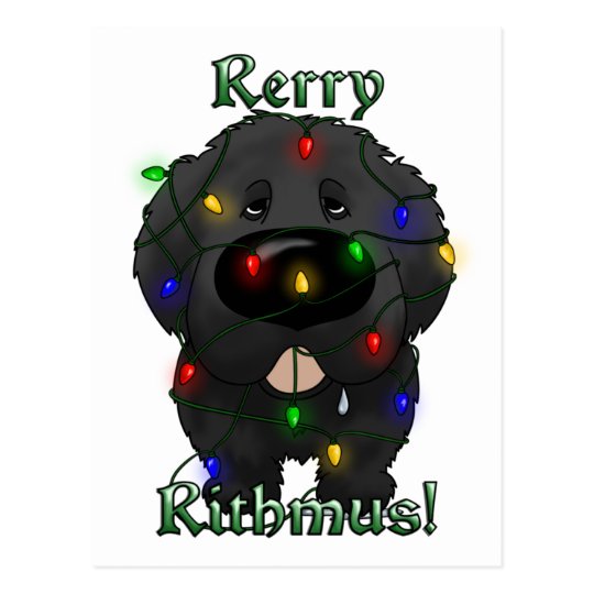 Newfoundland Christmas Lights Postcard