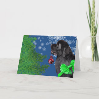 Newfoundland Christmas Ornament Holiday Card
