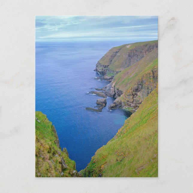 Newfoundland Coastline Postcard (Front)