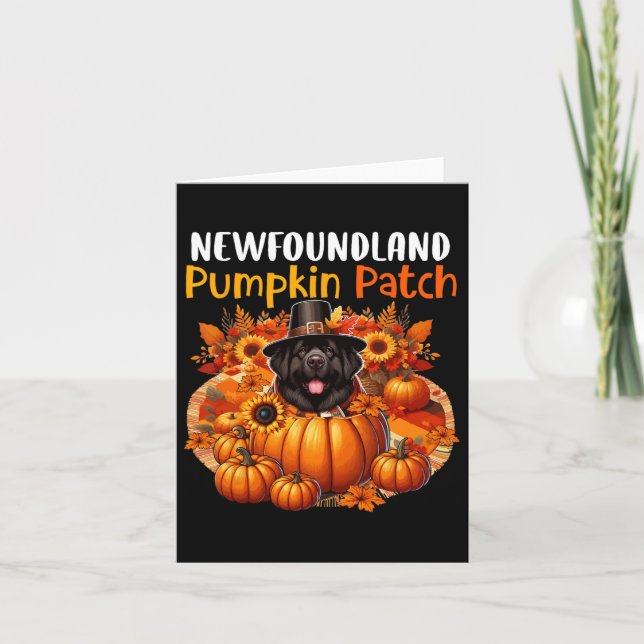 Newfoundland Cute Patch Thanksgiving Pumpkins Fall Card (Front)