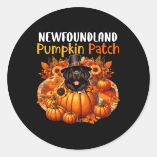 Newfoundland Cute Patch Thanksgiving Pumpkins Fall Classic Round Sticker