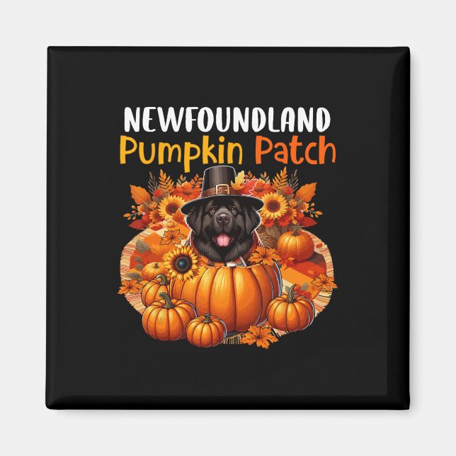 Newfoundland Cute Patch Thanksgiving Pumpkins Fall Magnet (Front)
