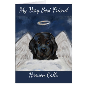 Newfoundland Dog