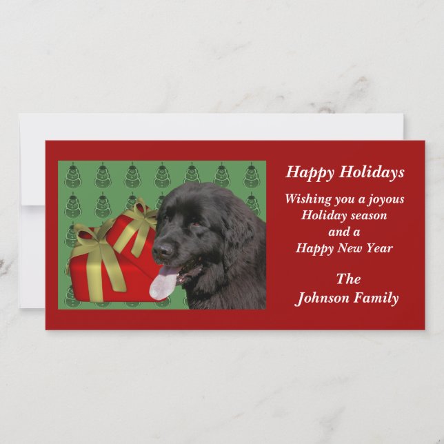 Newfoundland Dog Animal Christmas Holiday Card (Front)