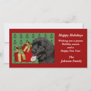 Newfoundland Dog Animal Christmas Holiday Card